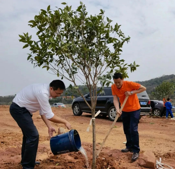 湖南草字頭生態(tài)環(huán)境建設有限公司,人造草坪假草皮,湖南雨水收集處理工藝 湖南草字頭生態(tài)環(huán)境建設有限公司,人造草坪假草皮,湖南雨水收集處理工藝