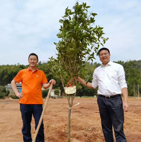 湖南草字頭生態(tài)環(huán)境建設有限公司,人造草坪假草皮,湖南雨水收集處理工藝 湖南草字頭生態(tài)環(huán)境建設有限公司,人造草坪假草皮,湖南雨水收集處理工藝